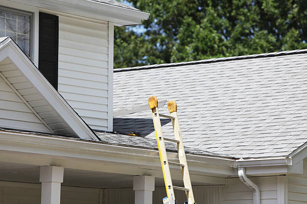 Best Fiber Cement Siding Installation  in Oshkosh, WI